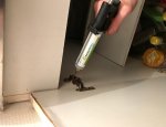 A3S PEST CONTROL Nanterre