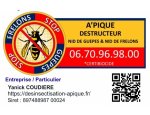 A'PIQUE DESTRUCTION DE NID DE GUEPES ET FRELON 45190