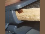 Photo 3D NUISIBLES EXTERMINATION/LECONGELO