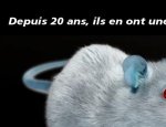34500 Béziers