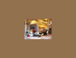 NET-THERM 33650